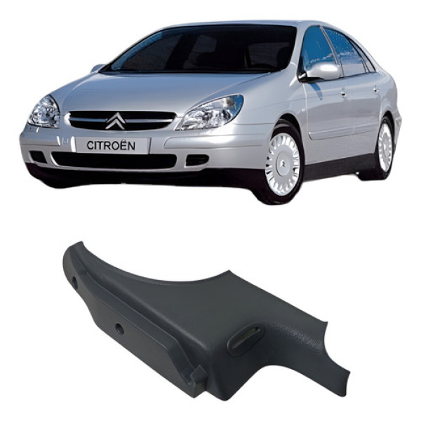 Suporte Bagagito Esquerd Citroen C5 9631638177 Grafite