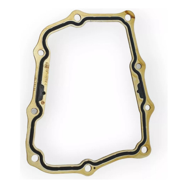 Junta Tampa Traseira Cambio Gm F15 F17 55564101 Genuína