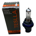 Lâmpada Farol Hb5 Teslla 65/55w