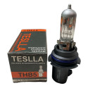 Lâmpada Farol Hb5 Teslla 65/55w