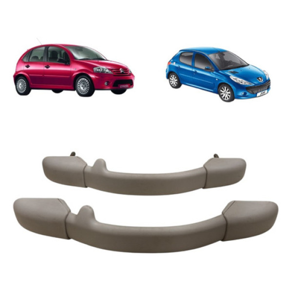Alça Teto Puxador Pqp Citroen Peugeot C3 206 307 03/11 Par Gelo